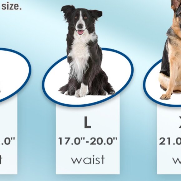 Wegreeco Washable Male Dog Belly Band - 6 Set - BNWT - Picture 6 of 7